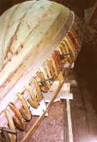 1const1-600.jpg (41711 bytes)